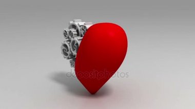 Kalp ve Dişli tekerlekleri döngü