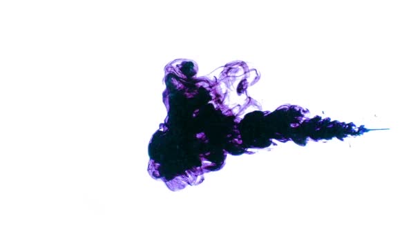 Farbe löslich in Wasser auf weißem Hintergrund, mit der Freisetzung in hromokey — Stockvideo
