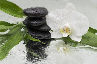 Spa arka plan - orkide siyah taşlar ve bambu su