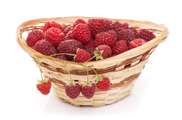 Ripe raspberries in basket with mint on white — Stock Photo, Image