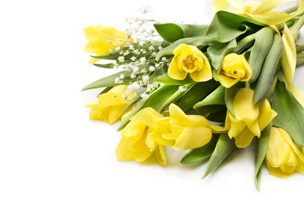 Tulipanes amarillos con cinta amarilla en beige — Foto de Stock