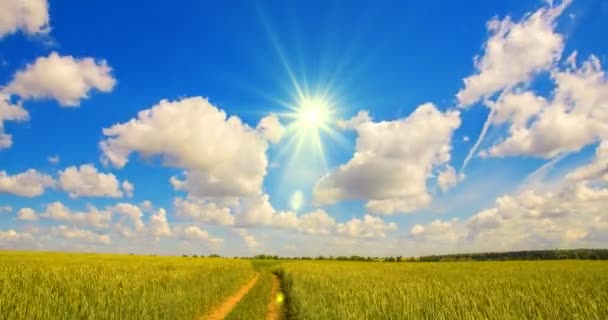 Временной промежуток: белые облака, летящие на голубом небе над желтым полем — стоковое видео