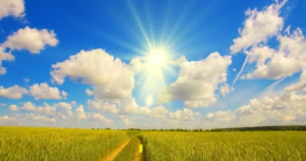 Time-lapse: witte wolken vliegen op blauwe hemel over gele veld — Stockvideo