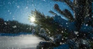 Cinemagraph, 4k, düşen kar kış ormanın içinde döngü