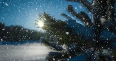 Cinemagraph, 4k, düşen kar kış ormanın içinde döngü