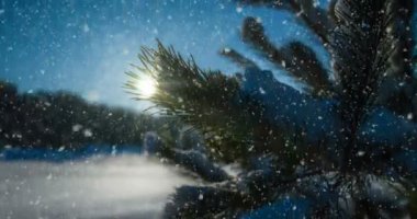 Cinemagraph, 4k, düşen kar kış ormanın içinde döngü