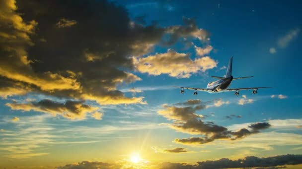 El avión vuela por el soleado cielo azul del día. bucle de vídeo — Vídeo de stock