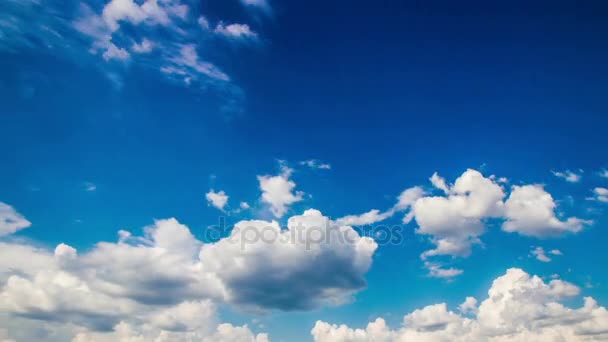 Avión volar por día soleado cielo azul . — Vídeo de stock