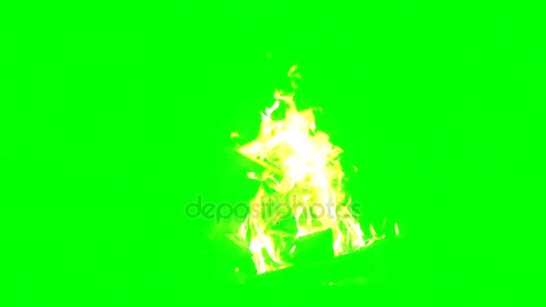 Fire flame on a black background slow motion video — Stock Video