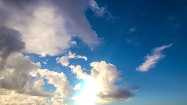 Letadla létají v slunečný den modrá obloha. — Stock video