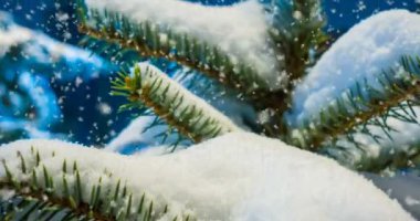 Cinemagraph, 4k, düşen kar kış ormanın içinde döngü