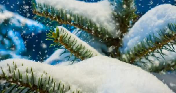 Βρόχο Cinemagraph, 4k, χιόνι που υπάγονται στο δάσος το χειμώνα, — Αρχείο Βίντεο