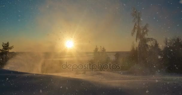 Nieve soplada por el viento en las montañas — Vídeo de stock