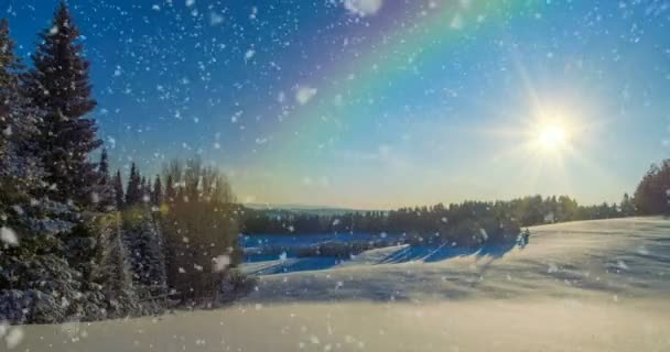 Cinemagraph，4 k，飘落的雪花，在冬季的森林，循环 — 图库视频影像