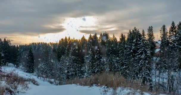 Cinemagraph, 4 Кбайт, падіння снігу в зимовий ліс, петля — стокове відео