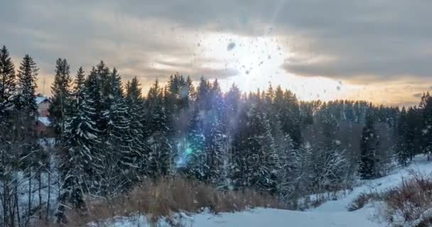 Cinemagraph, 4k, düşen kar kış ormanın içinde döngü — Stok video