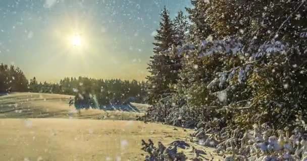 Cinemagraph, 4k, düşen kar kış ormanın içinde döngü — Stok video