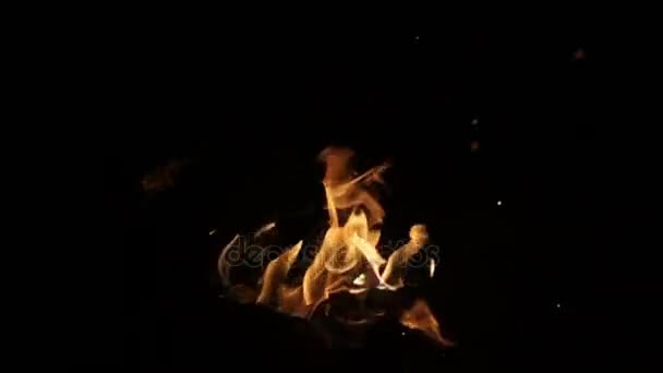 Πυρκαγιά σε ένα μαύρο φόντο, βίντεο αργής κίνησης, αργή κίνηση — Αρχείο Βίντεο