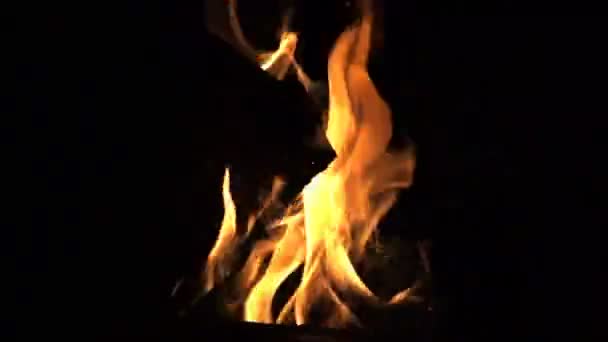 Fire on a black background, slow motion video, slow motion — Stock Video