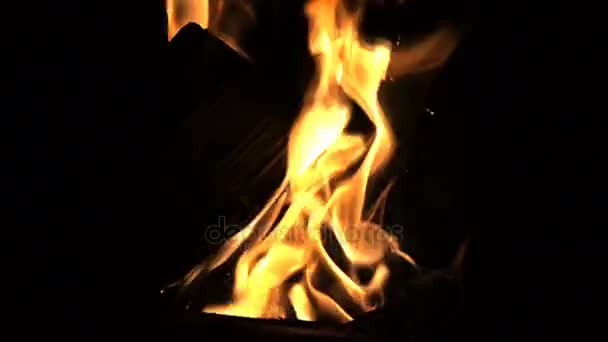 Fire on a black background, slow motion video, slow motion, duplication on chromakey — Stock Video