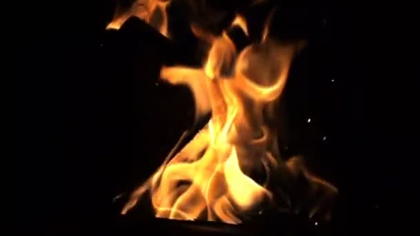 Fire on a black background, slow motion video, slow motion, duplication on chromakey — Stock Video