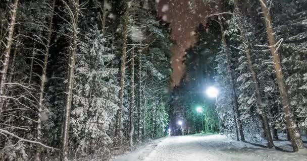 CINEMAGPH, красивый вечерний лесной пейзаж со снегом, видеоряд — стоковое видео