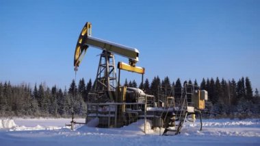 Etmek, petrol pompa birimi bir güzel orman manzara karşı