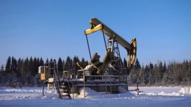 Etmek, petrol pompa birimi bir güzel orman manzara karşı