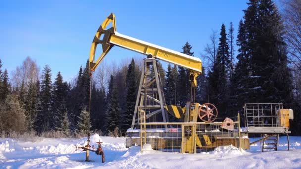 Pumpjack, čerpací jednotka proti krásné lesní krajina — Stock video