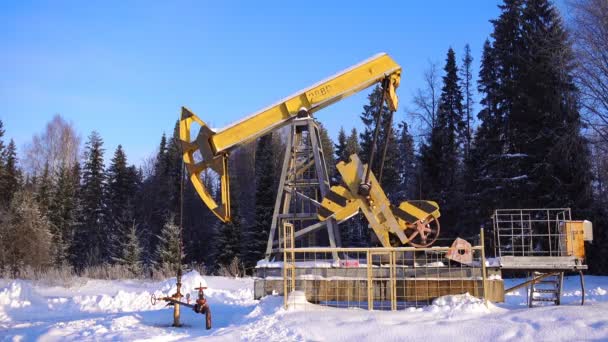 Pumpjack, čerpací jednotka proti krásné lesní krajina — Stock video