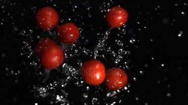 domates sonbaharda suya yavaş hareket