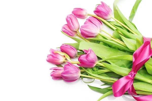 Tulipanes rosados con cinta rosa sobre un blanco — Foto de Stock