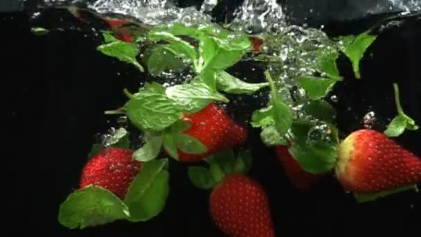 Fresh ripe berries and fruits fall into mineral water, slow motion — Stock Video