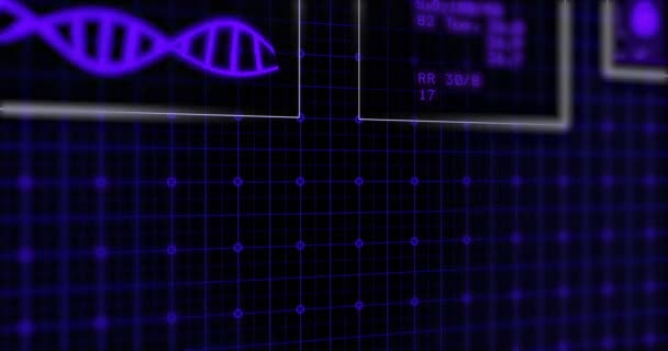 Monitor EKG. El monitor ECG azul muestra latidos cardíacos sanos. Lazo sin costura — Vídeos de Stock