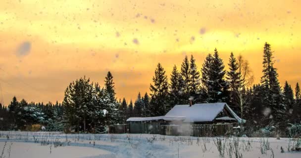 CINEMAGRAPH, 4k, nieve cayendo en el bosque de invierno, bucle — Vídeos de Stock