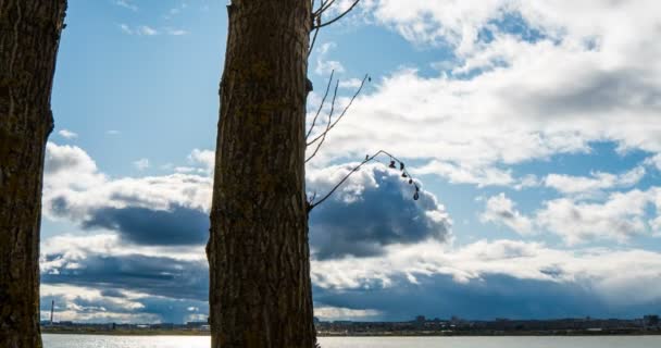 Ομαλή κίνηση της κάμερας μεταξύ δύο δέντρων. Φθινοπωρινός ήλιος, χρονοσύνδεση, υπερπαραγραφή. Όμορφο φθινοπωρινό τοπίο — Αρχείο Βίντεο