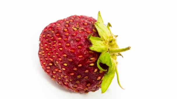 Time lapse de fresas pudriéndose sobre fondo blanco . — Vídeos de Stock