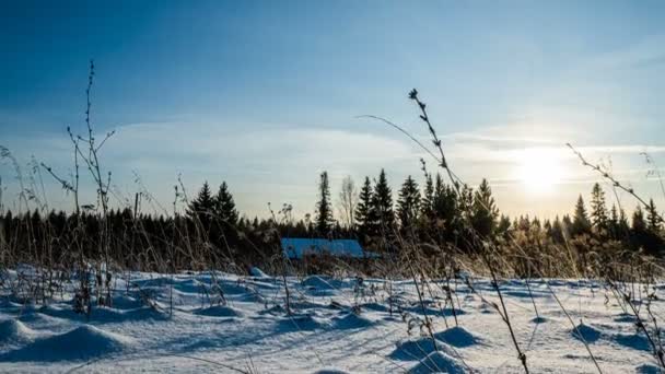 Las nevadas en el invierno en el bosque, la noche de Navidad con la nieve que cae. en el parque de Navidad, la nieve está cayendo. hermoso paisaje de invierno. bosque de invierno. Hiperlapso — Vídeo de stock