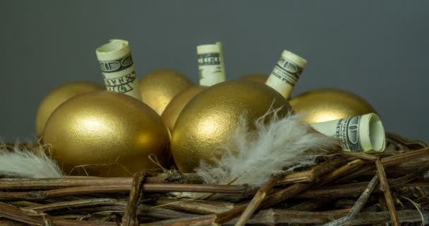 Золотые яйца в птичьем гнезде, с банкнотами, концепция инвестиций, пенсионные сбережения — стоковое видео