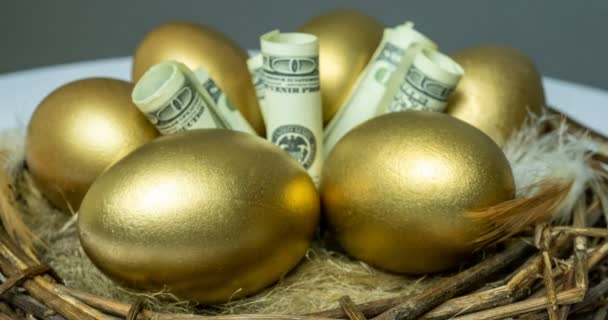 Huevos de oro en un nido de aves, con billetes, concepto de inversión, ahorros de jubilación — Vídeos de Stock