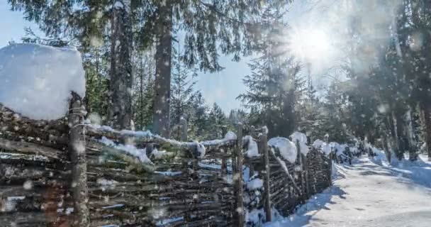 Cinemagraph, Paisaje soleado de invierno en el bosque con una casa, nevadas hermosas lentas, bucle de vídeo — Vídeos de Stock