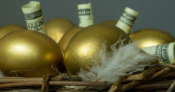 Huevos de oro en un nido de aves, con billetes, concepto de inversión, ahorros de jubilación — Vídeo de stock