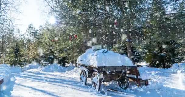 Синемаграф, Зимний солнечный пейзаж в лесу с домом, медленный красивый снегопад, видеофрагмент — стоковое видео