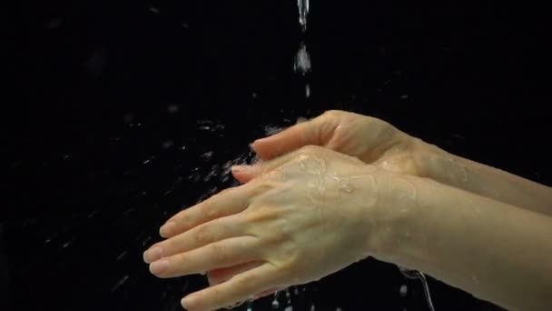 Femme laver une belle main, l'eau coule à travers les mains isolées sur fond noir. Concept de santé, nettoyage et prévention des germes de contact des mains, coronavirus, ralenti — Video