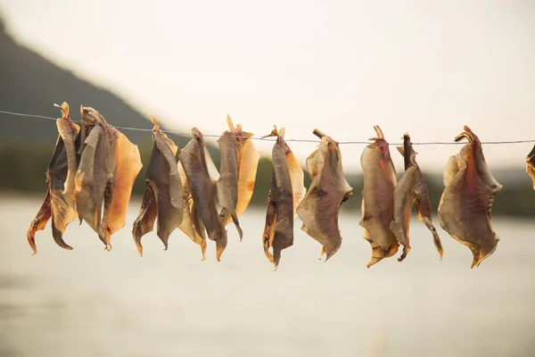 Sonnengetrocknete Fische am Seil Stockfoto