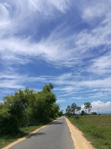 Асфальтовая дорога вдоль поля и деревьев — стоковое фото