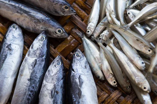बाजार में ताजा मछली — स्टॉक फ़ोटो, इमेज