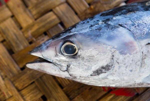 Fresh fishe at market — Stock Photo, Image