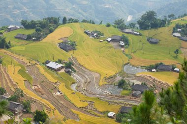 binalar alanları arasında döken