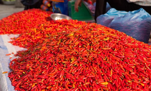 Κόκκινη πιπεριά τσίλι στην αγορά — Φωτογραφία Αρχείου